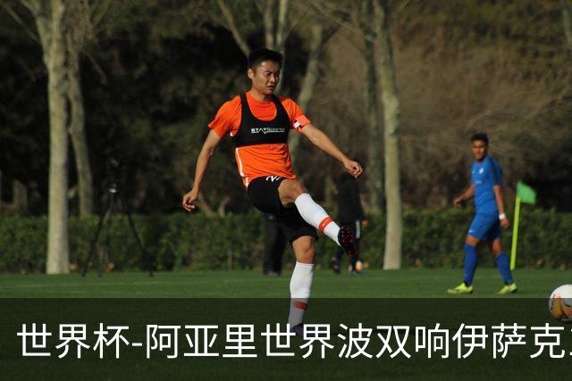 世界杯-阿亚里世界波双响伊萨克1射2传 瑞典5-1突尼斯